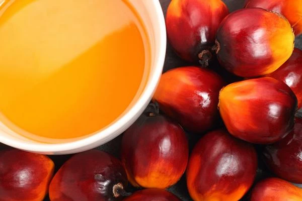 September 2023 Sees a 12% Drop in South Africa's Palm Kernel Oil Imports, Reaching $2.3M.